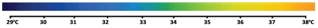 ytermo_line.jpg ytermo_line.jpg